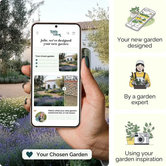 Herbal Hideaway Garden Blueprint