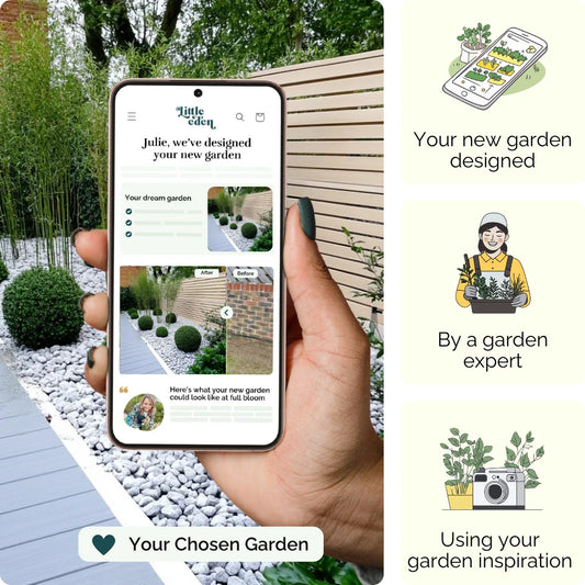 Zen Minimalism Garden Blueprint