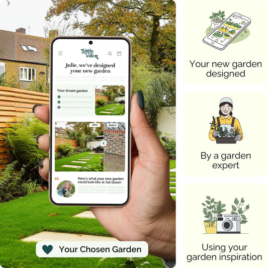 Modern Retreat Garden Blueprint