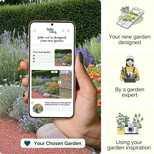 Summer Drift Garden Blueprint