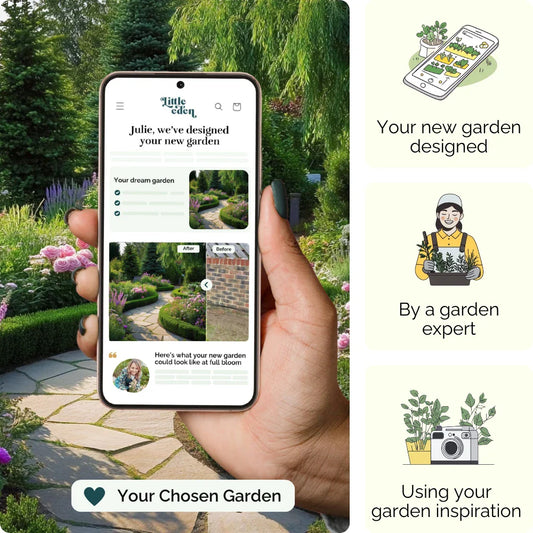 Bloom Walk Garden Blueprint