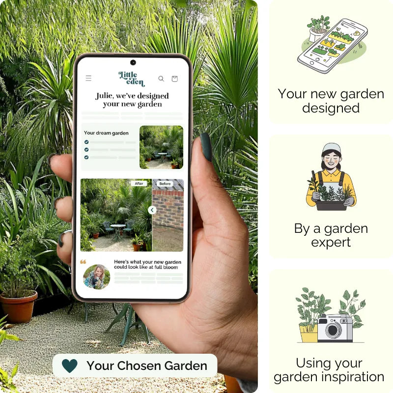 Jungle Pathway Garden Blueprint