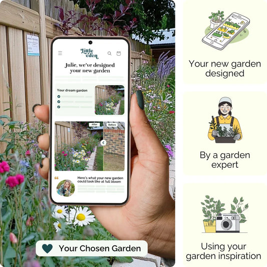 Border Bliss Garden Blueprint