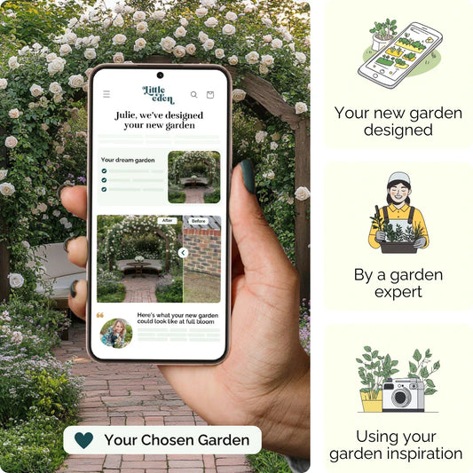 Rose Retreat Garden Blueprint