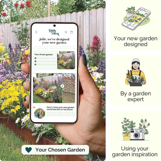 Colourful Floral Garden Blueprint