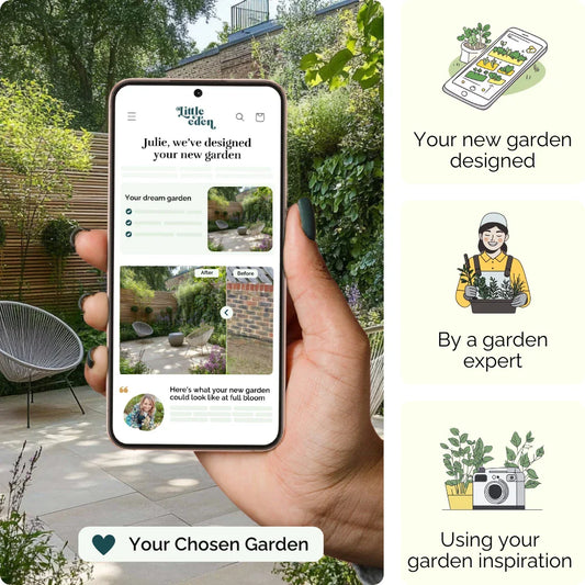 Modern Oasis Garden Blueprint