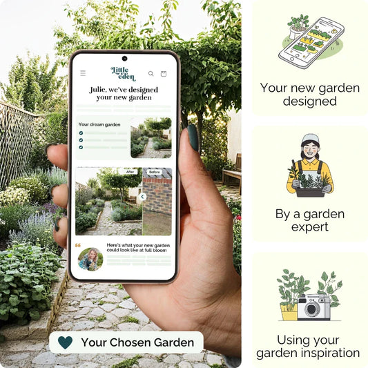 Lemon Court Garden Blueprint