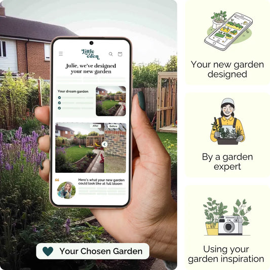 Adventure Corner Garden Blueprint