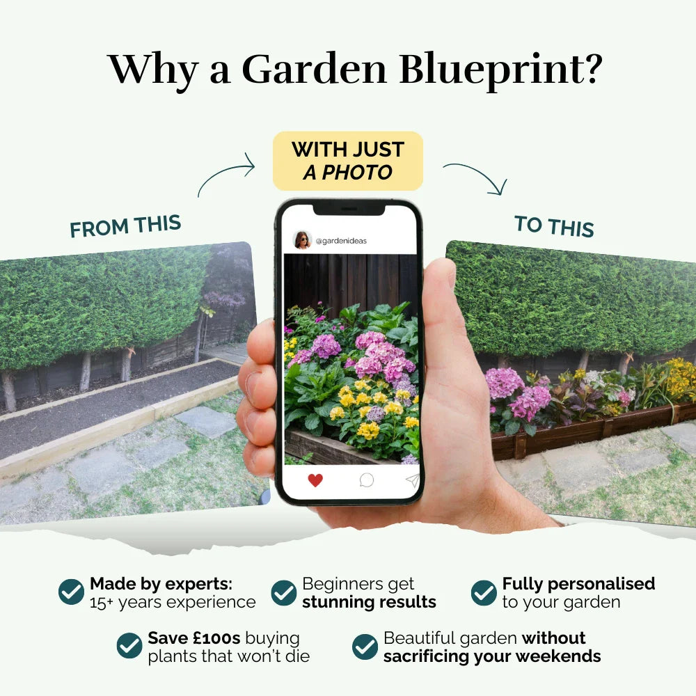 Adventure Corner Garden Blueprint
