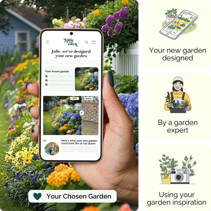 Hydrangea Harmony Garden Blueprint