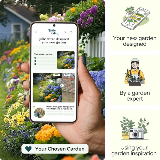 Hydrangea Harmony Garden Blueprint