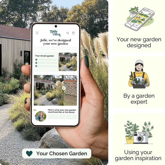 Pampas Breeze Garden Blueprint