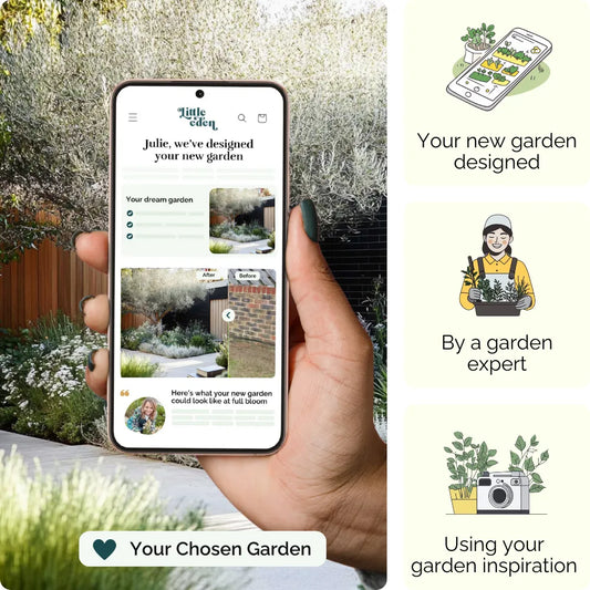 Silver Shore Garden Blueprint