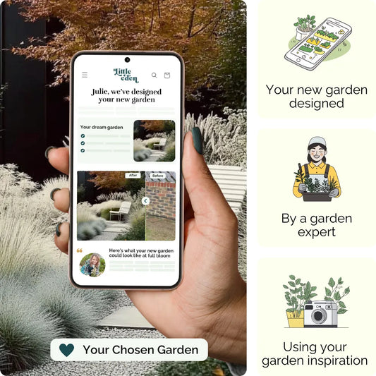 Coastal Calm Garden Blueprint