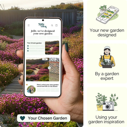 Sea Pink Path Garden Blueprint