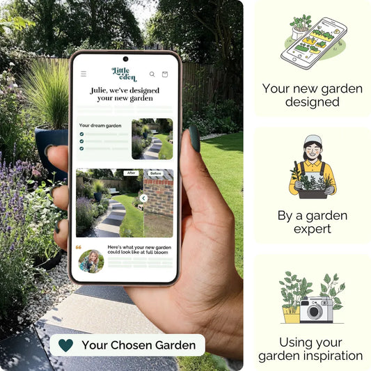 Wavecrest Garden Blueprint