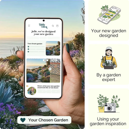 Ocean Vista Garden Blueprint