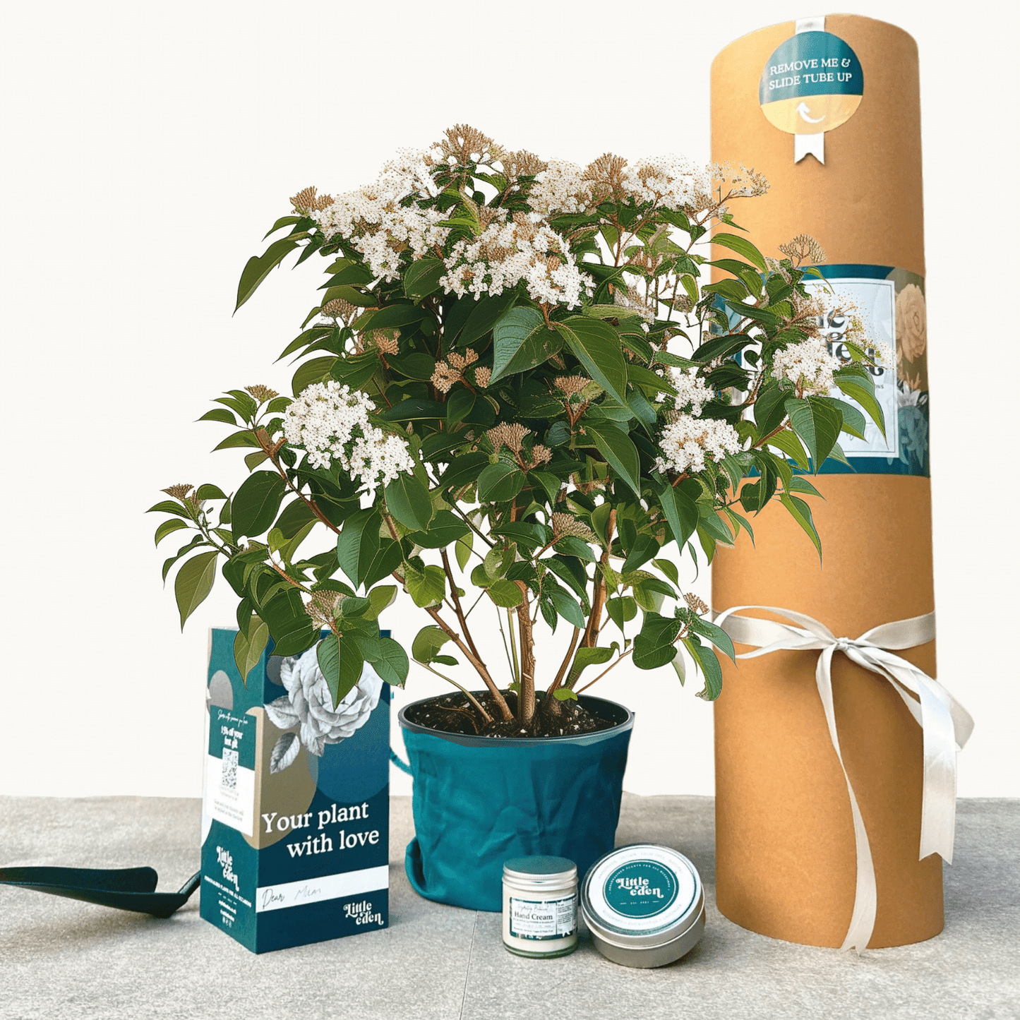 Viburnum Gift Set