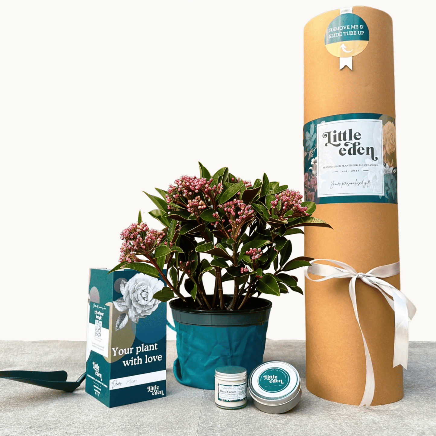 Skimmia Gift Set