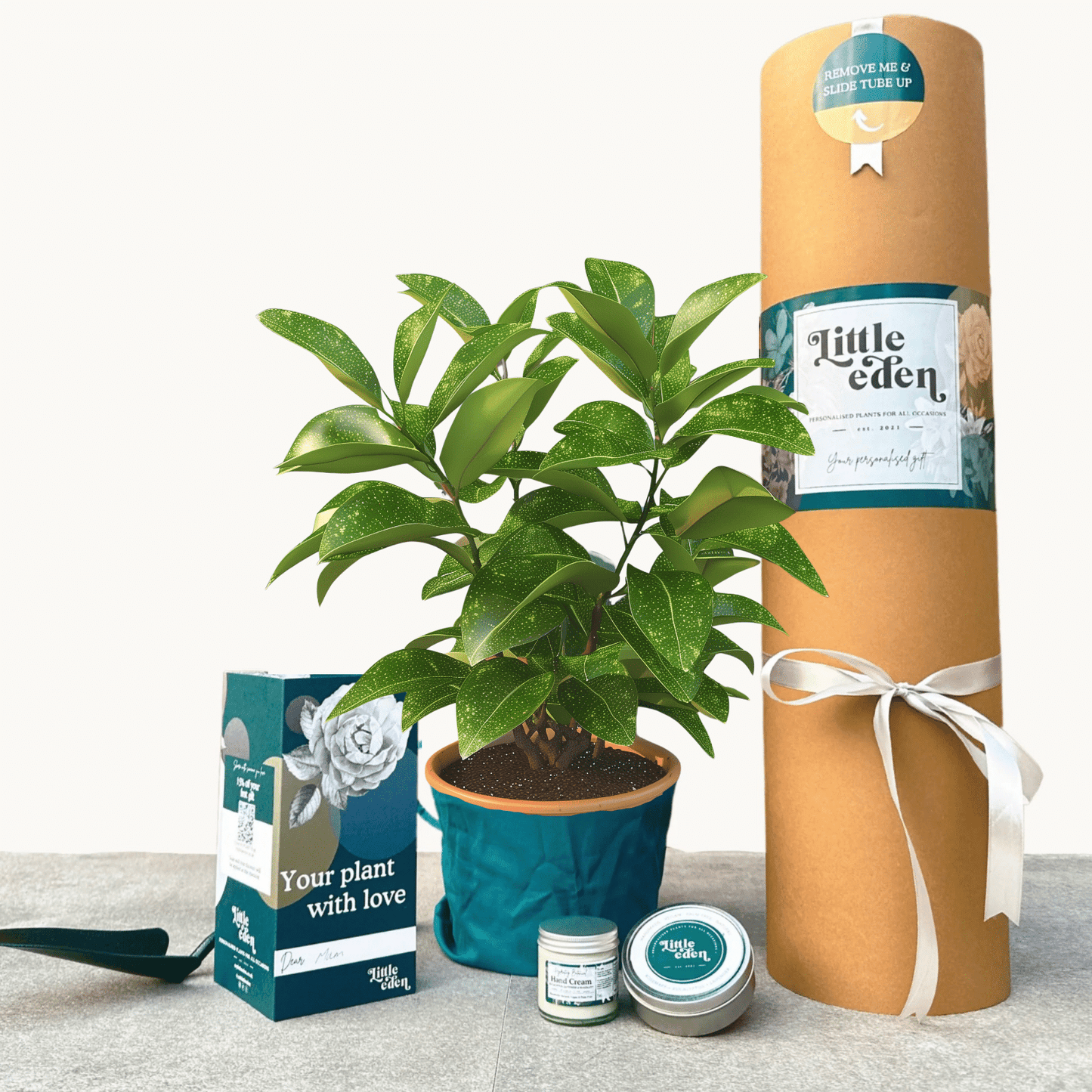 Japanese Laurel Gift Set