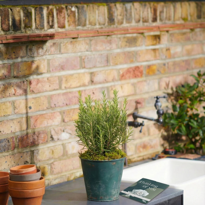 A Symbol of Remembrance