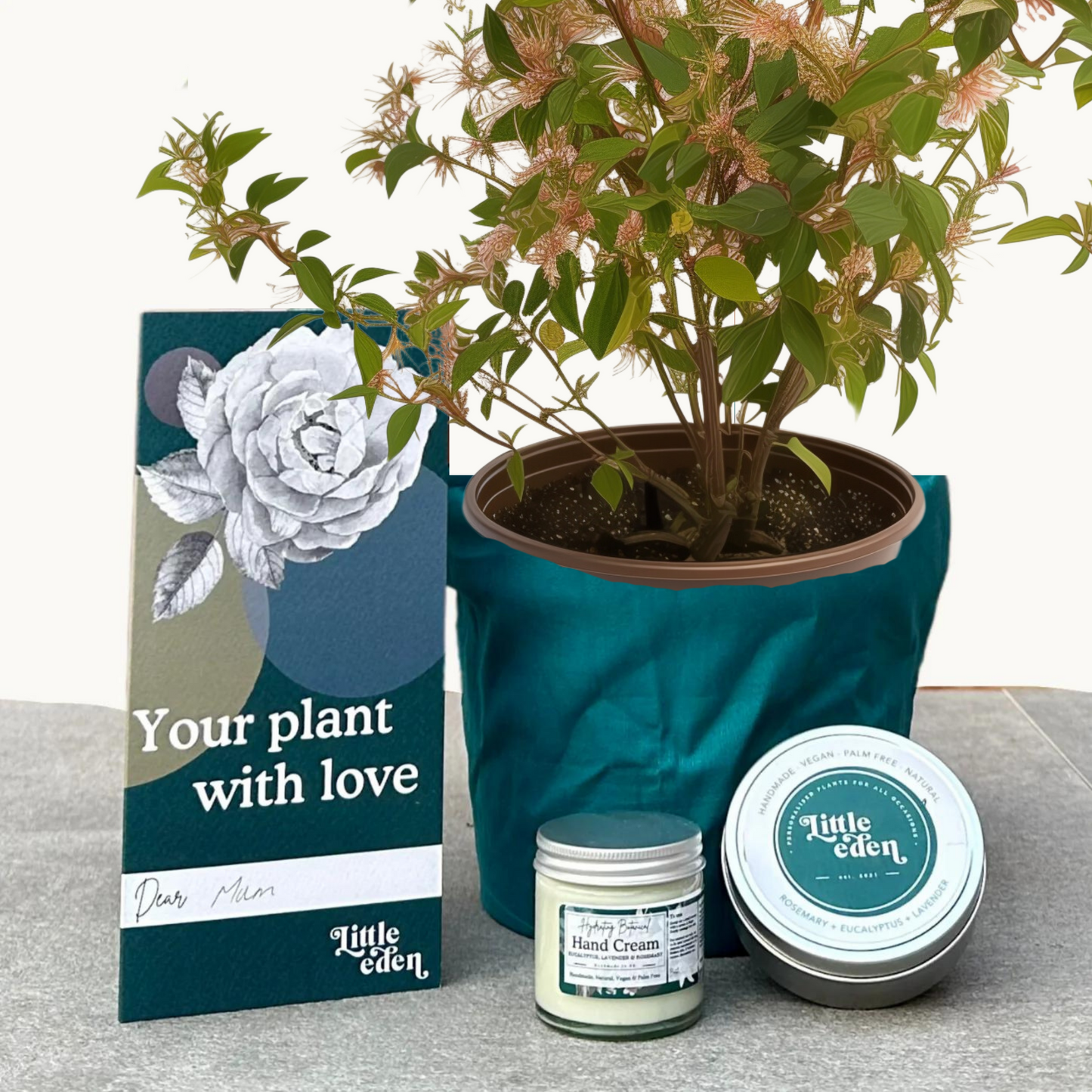 Abelia Gift Set