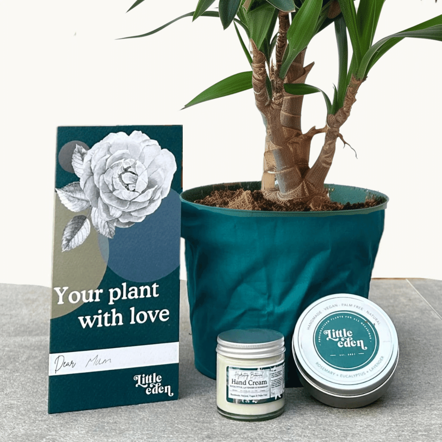 Yucca Gift Set