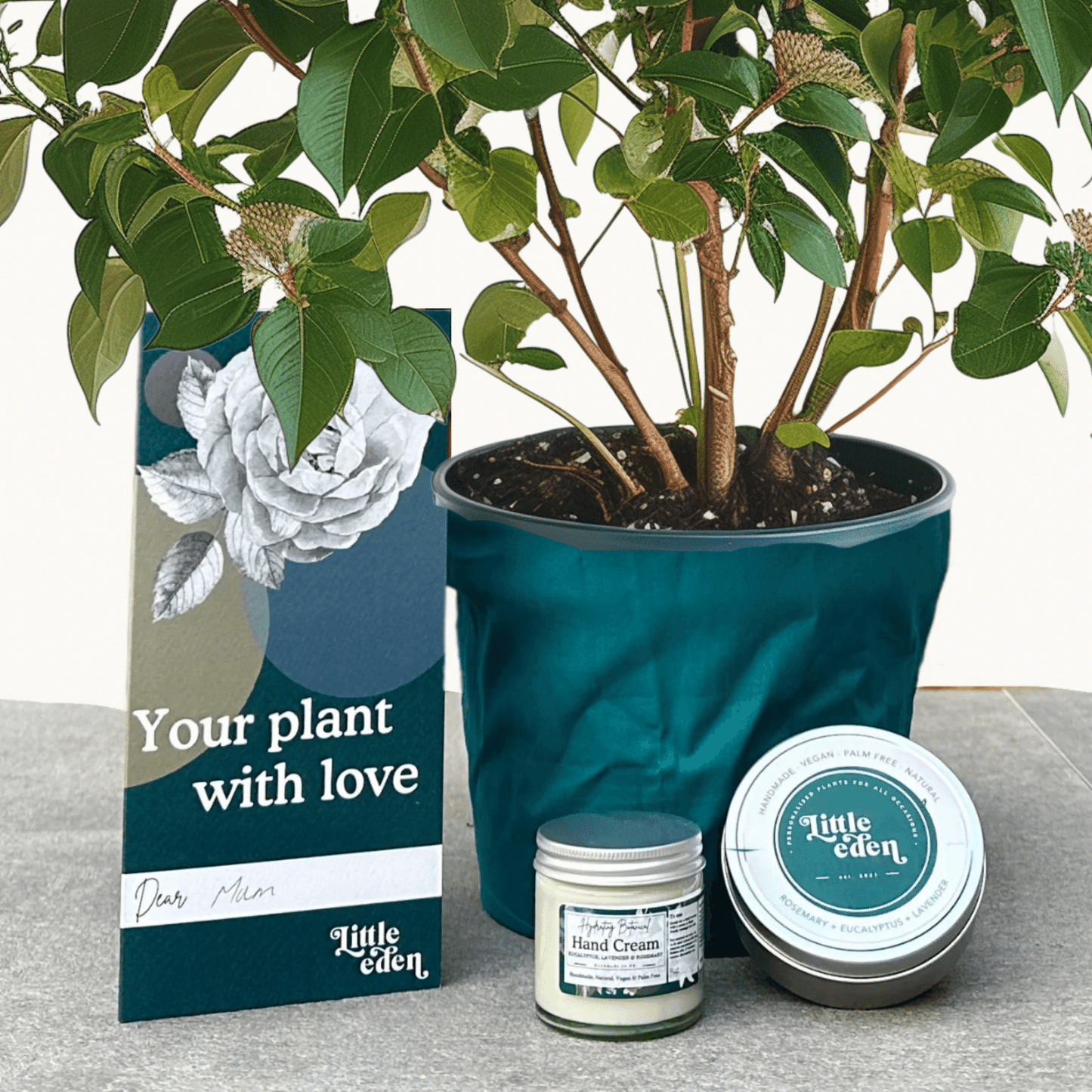 Viburnum Gift Set