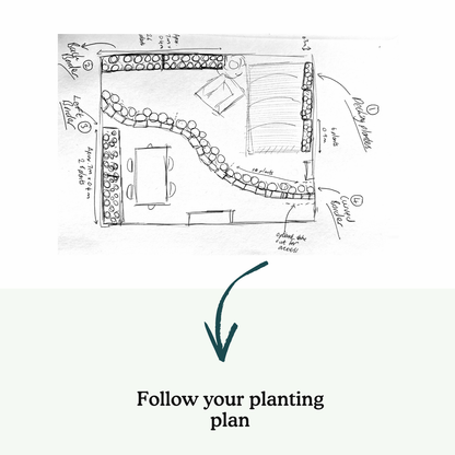 Sarah's Garden-in-a-Box