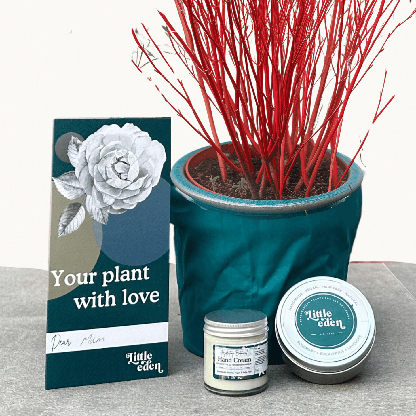 Cornus Dogwood Gift Set