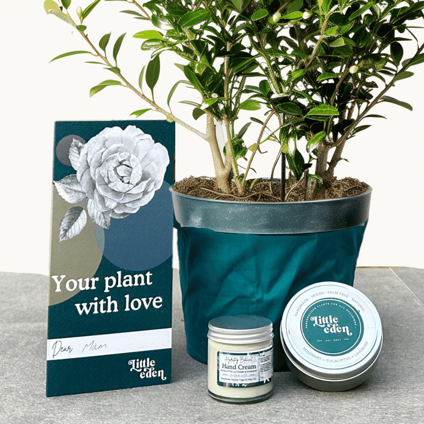 Sweet Box Gift Set
