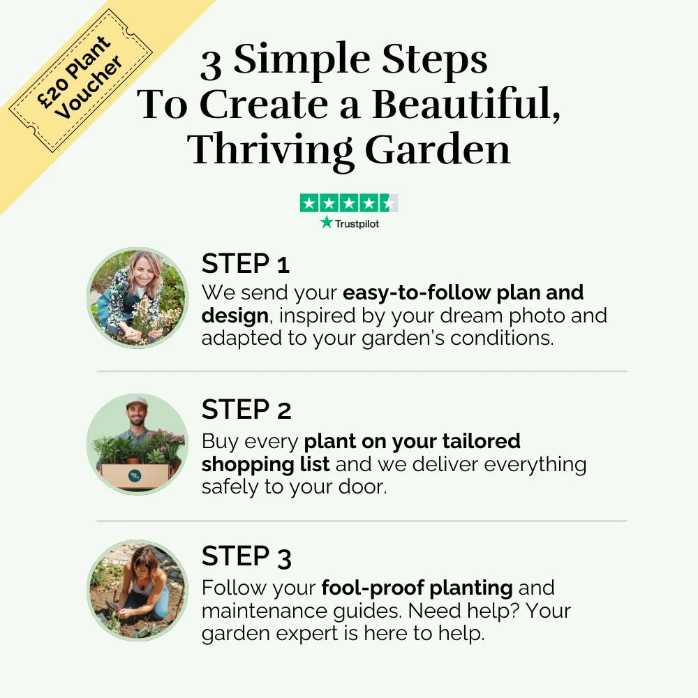 Adventure Corner Garden Blueprint
