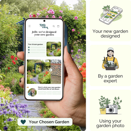 Your Garden Blueprint