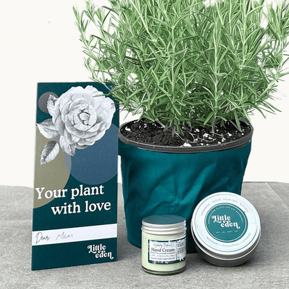 Rosemary Gift Set