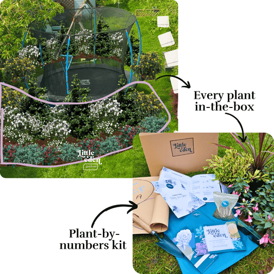 Esme's Border-in-a-Box (Border A)