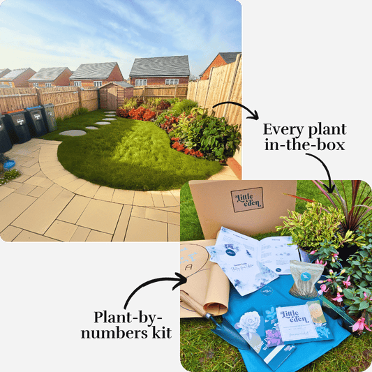 Pwint's Garden-in-a-Box