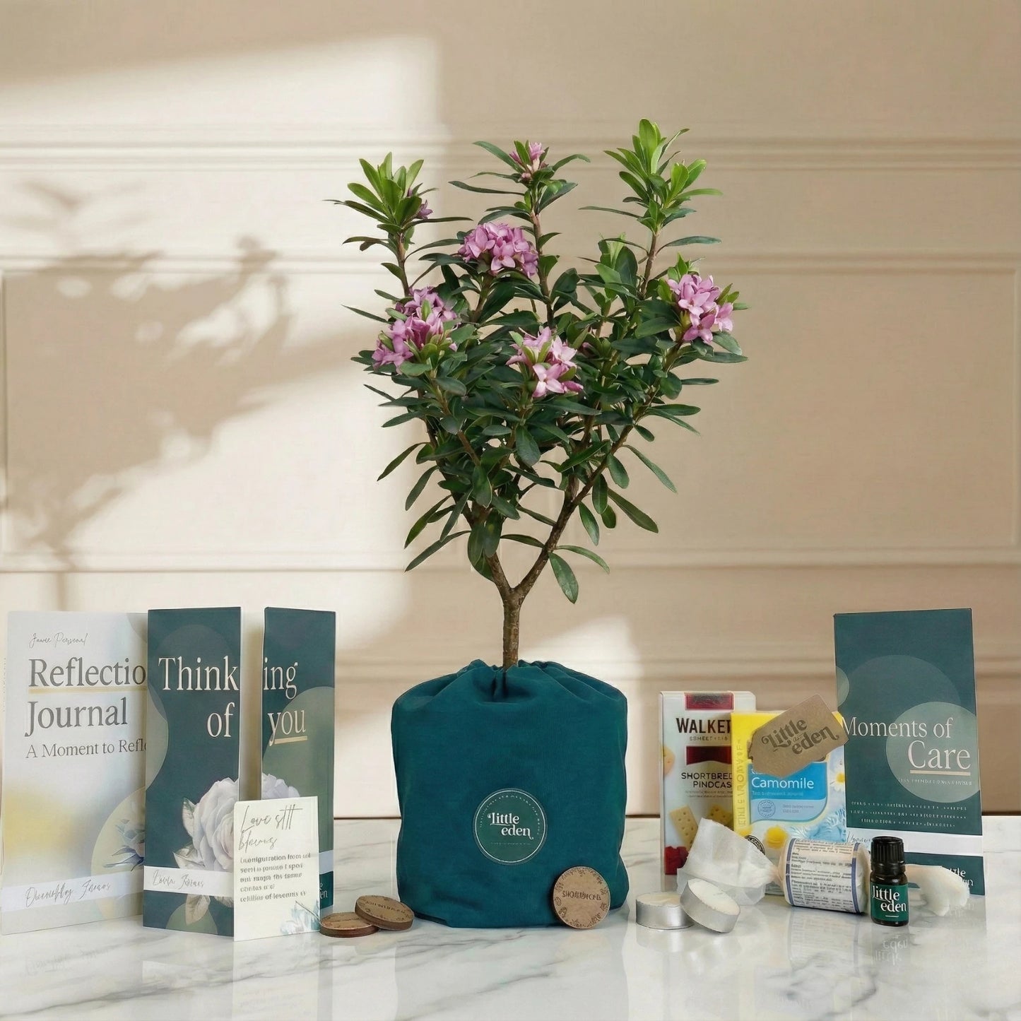 Daphne Gift Set — Hope & Comfort