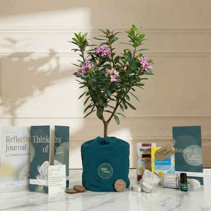 Daphne Gift Set — Hope & Comfort