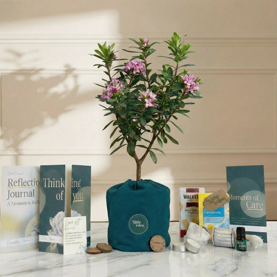 Daphne Gift Set — Hope & Comfort