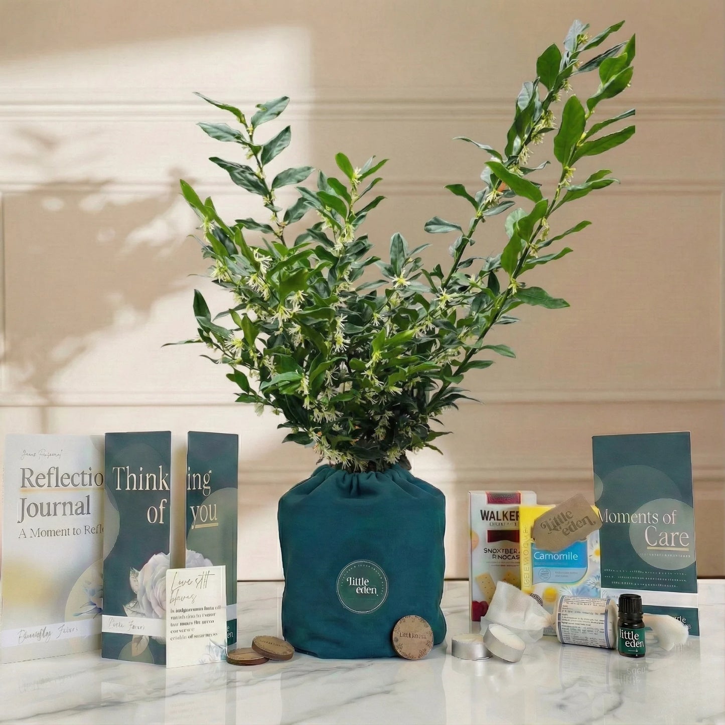 Sarcococca Gift Set — Love & Support