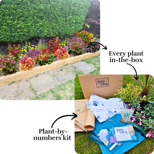 Ryan's Garden-in-a-Box