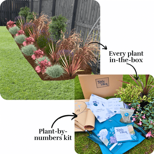 Jacquie's Garden-in-a-Box