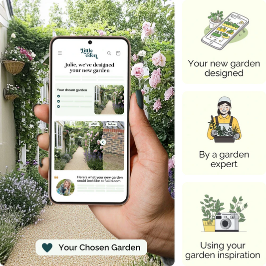 Rose Walk Garden Blueprint