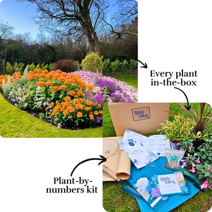 Dan's Garden-in-a-Box