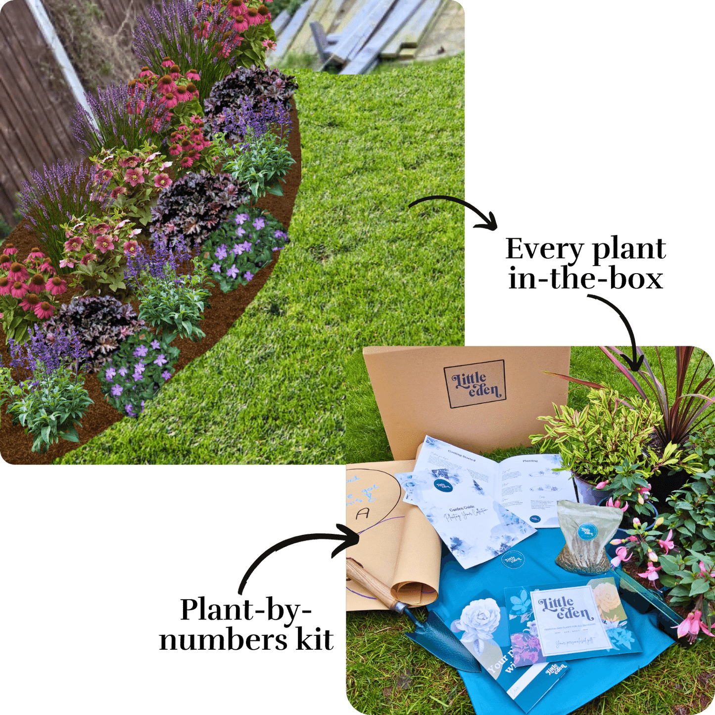 Marcy's Border-in-a-Box