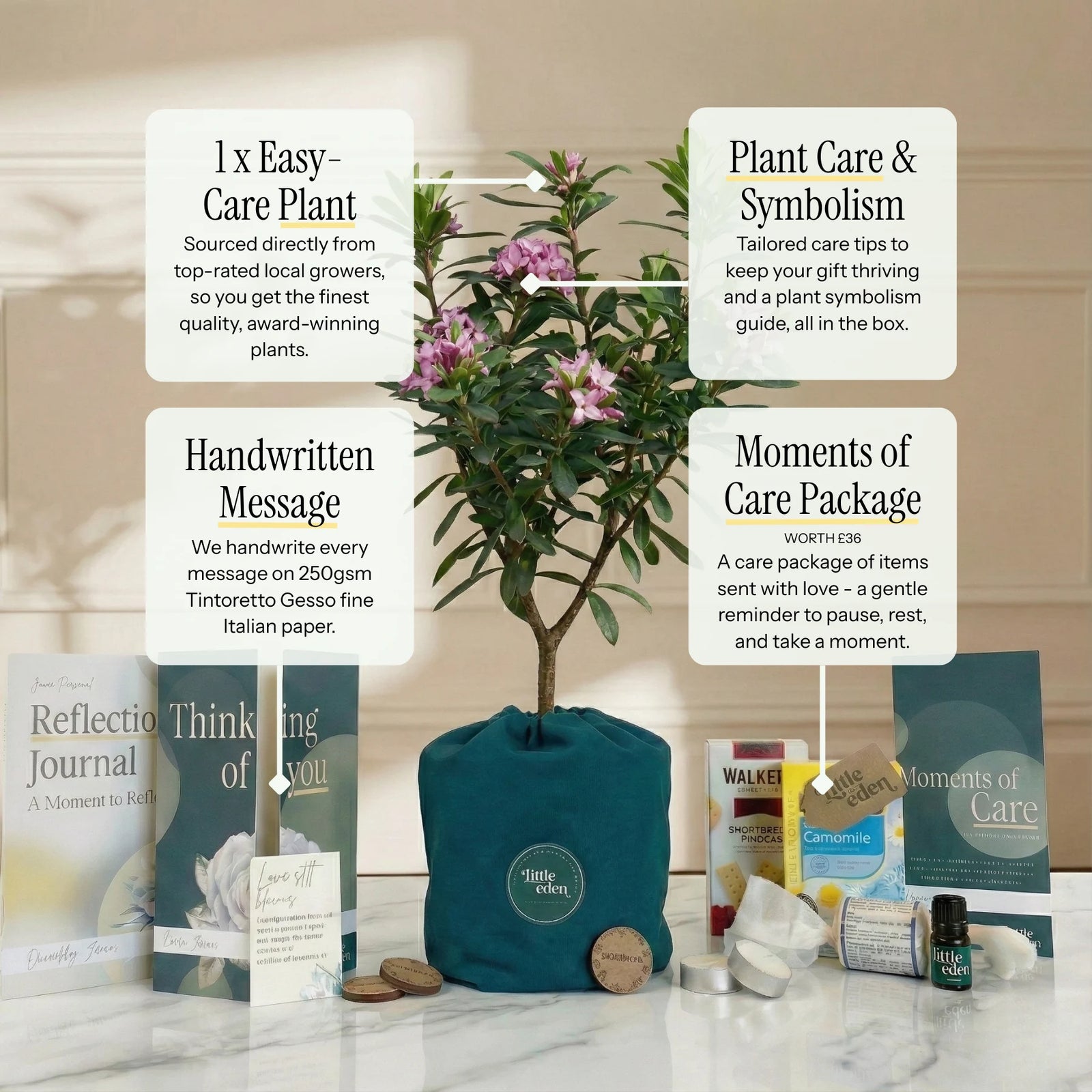 Gift set including memorial self-care items displayed on a table, featuring a candle, journal, plant, and comfort treats.