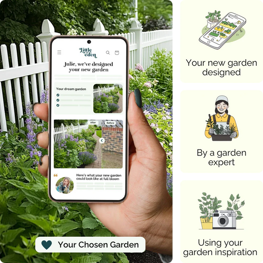 Lilac Lane Garden Blueprint