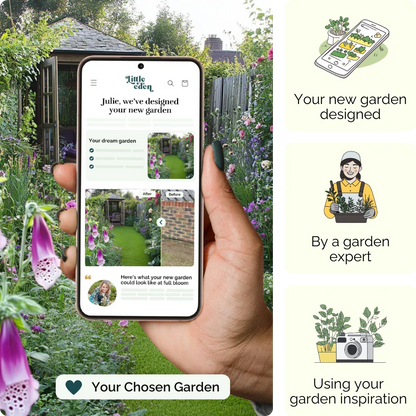 Summerhouse Bliss Garden Blueprint