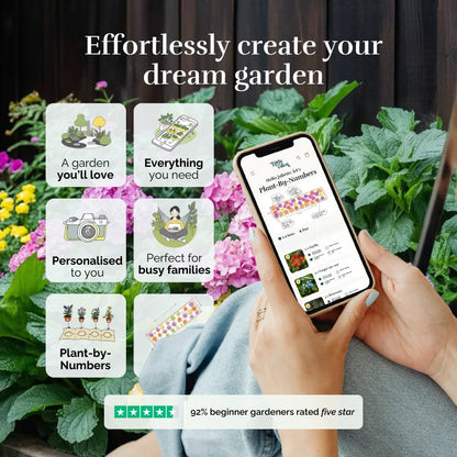 Boxwood Elegance Garden Blueprint