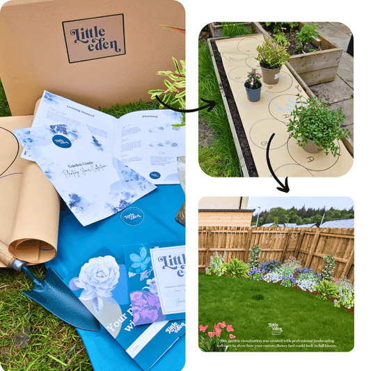 Juliette's Plant-by-Numbers Kit